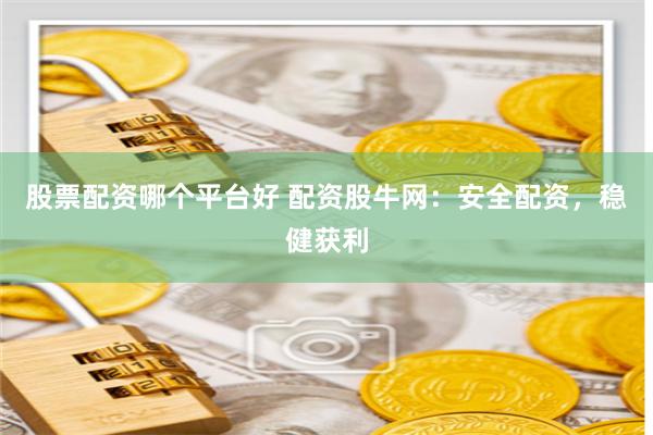 股票配资哪个平台好 配资股牛网：安全配资，稳健获利