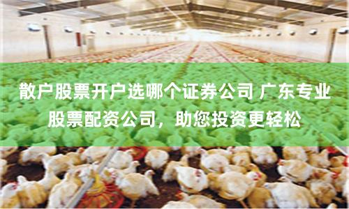 散户股票开户选哪个证券公司 广东专业股票配资公司，助您投资更轻松