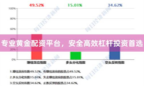 专业黄金配资平台，安全高效杠杆投资首选