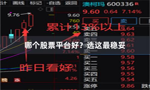 哪个股票平台好？选这最稳妥